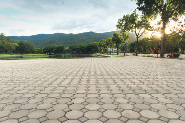 Best Concrete Paver Driveway  in Armona, CA